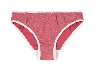 Набор трусов Briefs (3) Бемби НБ16 (1L1)