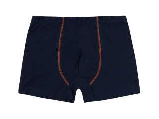 Набор трусов Trunks (2) Бемби НБ17 (801)