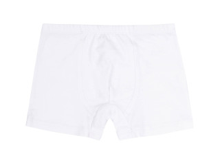 Кролики Boxer Бемби ТР46 (100)