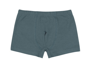 Труси Boxer Бембі ТР46 (R00)