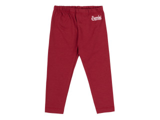 Брюки Бемби ШР268 (L00)