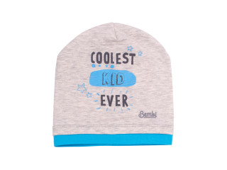 Шапка Бембі ШП82 (X40)