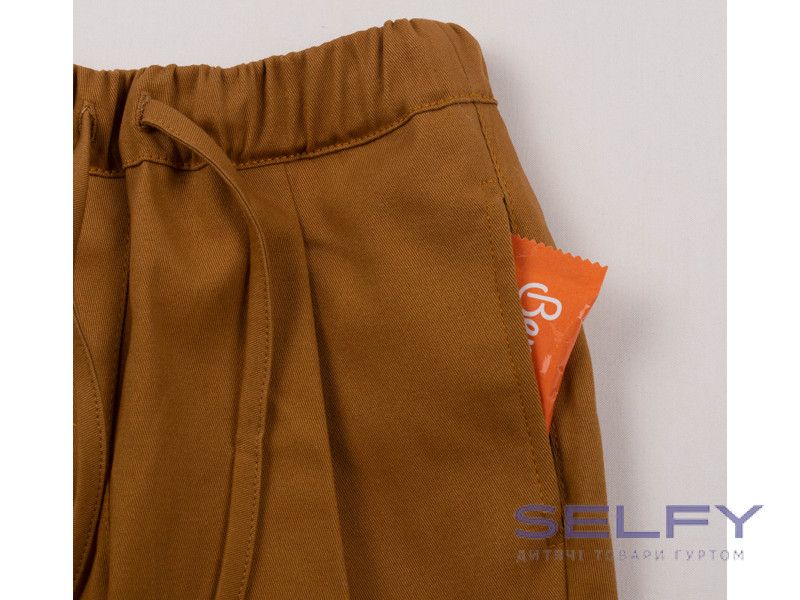 Брюки Бемби ШР743 (E00), Фото 5