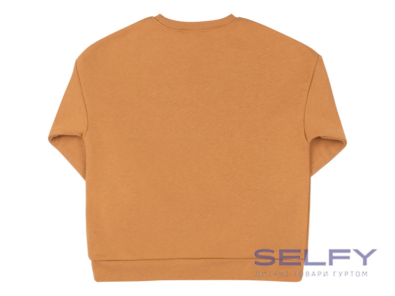 Джемпер Бембі ДЖ325 (G05), Фото 3