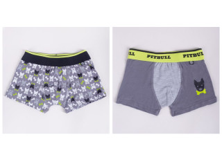 Трусики Yoclub BMB-0018С mix 2-пак