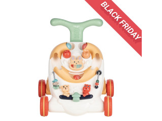 Ходунки для дитини FreeON Free2Play Walker Let`s walk, multicolour