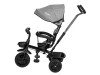 Триколісний дитячий велосипед Free2Move Sport Black Grey, Фото 14