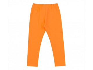 Штани ШР791 (500)