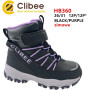 Черевики дитячі Clibee HB360 black-purple 26-31