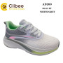 Кросівки Clibee AD260 white-grey 36-41