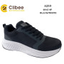 Кросівки Clibee A253 black-white 40-45