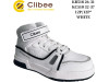 Хайтопы детские Clibee KC510 white 32-37, Фото 4
