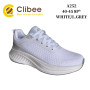 Кросівки Clibee A252 white-l.grey 40-45