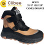 Черевики зимові Clibee HC529 camel-orange 32-37
