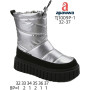 Дутики Apawwa TJ1009P-1 silver 32-37