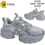 Кросівки дитячі Clibee EC338 silver 33-38