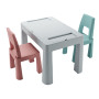 Комплект меблів TEGGI MULTIFUN + 2 стільця turquoise old rose grey