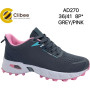Кросівки Clibee AD270 grey-pink 36-41