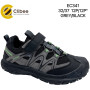 Кросівки дитячі Clibee EC341 grey-black 32-37