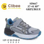 Кросівки Clibee AD667 grey-blue 37-41