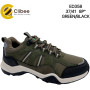 Кросівки Clibee ED358 green-black 37-41