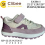 Кросівки дитячі Clibee EA506 purple-beige 22-27