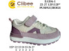 Кросівки дитячі Clibee EA506 purple-beige 22-27, Фото 4