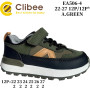 Кросівки дитячі Clibee EA506 a.green 22-27