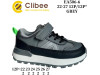 Кросівки дитячі Clibee EA506 grey 22-27, Фото 4