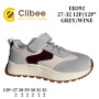 Кросівки дитячі Clibee EB392 grey-wine 27-32