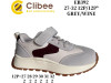 Кросівки дитячі Clibee EB392 grey-wine 27-32, Фото 4