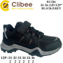 Кросівки дитячі Clibee EC356 black-grey 31-36