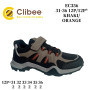 Кросівки дитячі Clibee EC356 khaki-orange 31-36