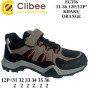 Кросівки дитячі Clibee EC356 khaki-orange 31-36
