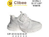 Кросівки дитячі Clibee EC396 white 32-37, Фото 4