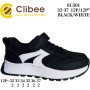 Кросівки дитячі Clibee EC501 black-white 32-37