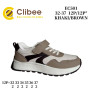 Кросівки дитячі Clibee EC501 khaki-brown 32-37