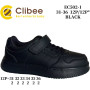 Кросівки дитячі Clibee EC502 black 31-36