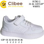 Кросівки дитячі Clibee EC502 white 31-36