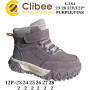 Черевики дитячі Clibee GA84 purple-pink 23-28