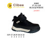 Черевики дитячі Clibee GB85 black-white 27-32, Фото 4