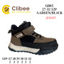 Черевики дитячі Clibee GB85 a.green-black 27-32