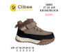 Черевики дитячі Clibee GB85 khaki-black 27-32, Фото 4
