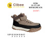 Черевики дитячі Clibee GC86 khaki-black 32-37, Фото 4