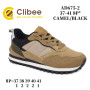 Кросівки Clibee AD675 camel-black 37-41