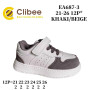 Кросівки дитячі Clibee EA687-3 khaki-beige 21-26
