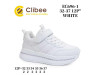 Кроссовки детские Clibee EC696-1 white 32-37, Фото 4