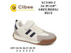 Кроссовки детские Clibee LC1180-2 grey-beieg-blue 34-39, Фото 4