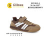 Кросівки дитячі Clibee LC1181-4 khaki-brown 31-36, Фото 4