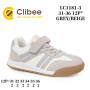 Кроссовки детские Clibee LC1181-3 grey-beige 31-36